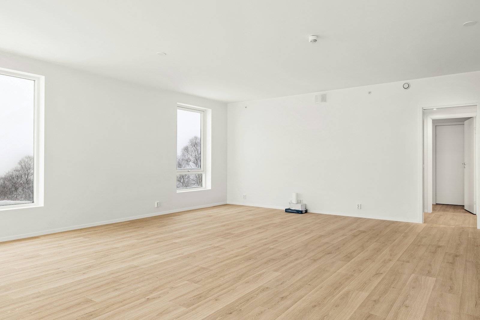 Leerer Wohnraum mit Holzboden, zwei Fenstern links und einer glatten weißen Rückwand